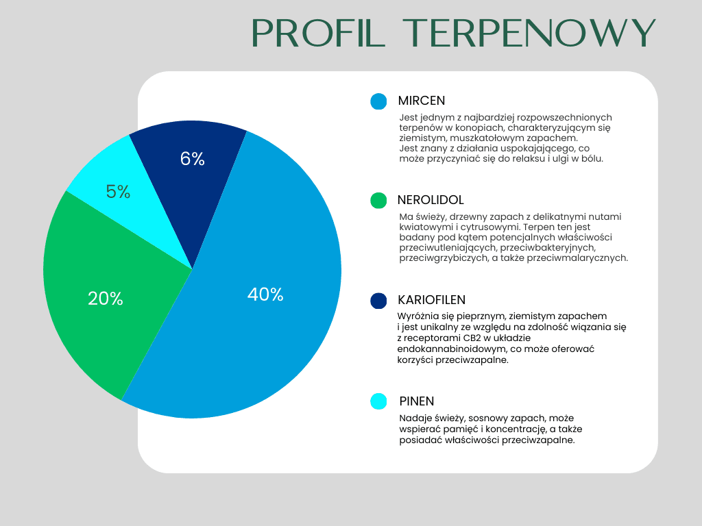 Tilray Cannabis flos Jack Herer