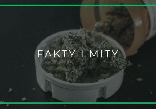 Bezpieczna medyczna marihuana Warszawa – fakty i mity