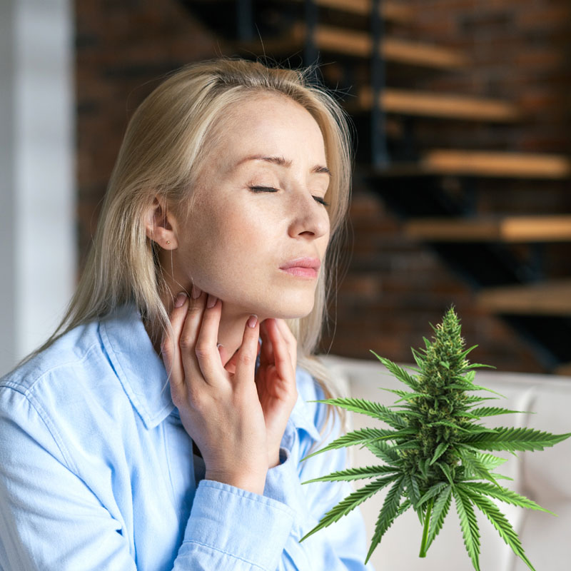 Playmed endokrynologia