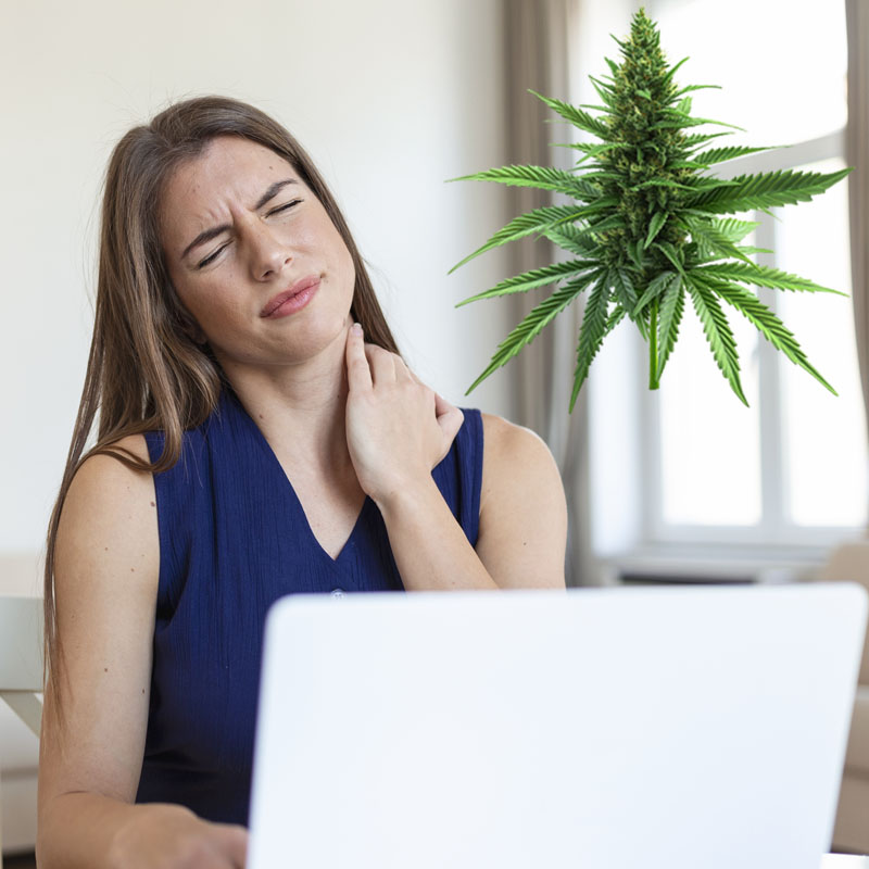 playmed fibromialgia