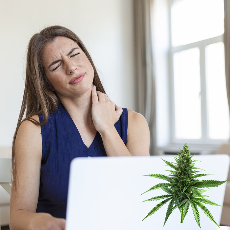 Playmed fibromialgia