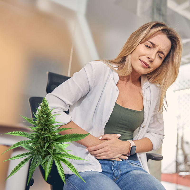 Playmed gastroenterologia